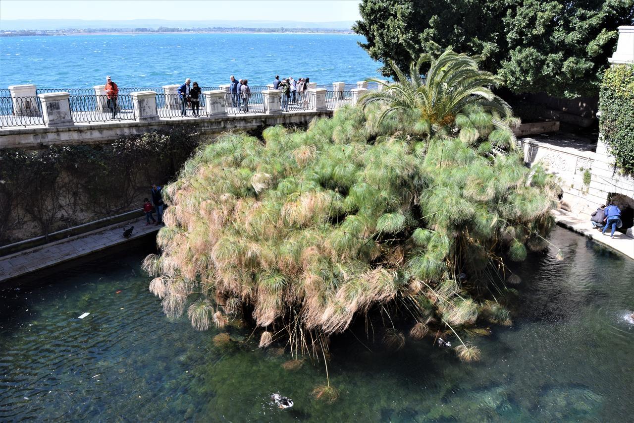 Apartment Il Moro Syracuse